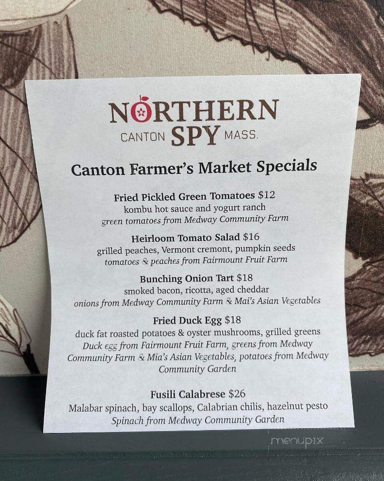 Northern Spy - Canton, MA